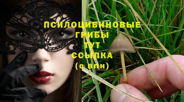 MDMA Premium VHQ Ладушкин